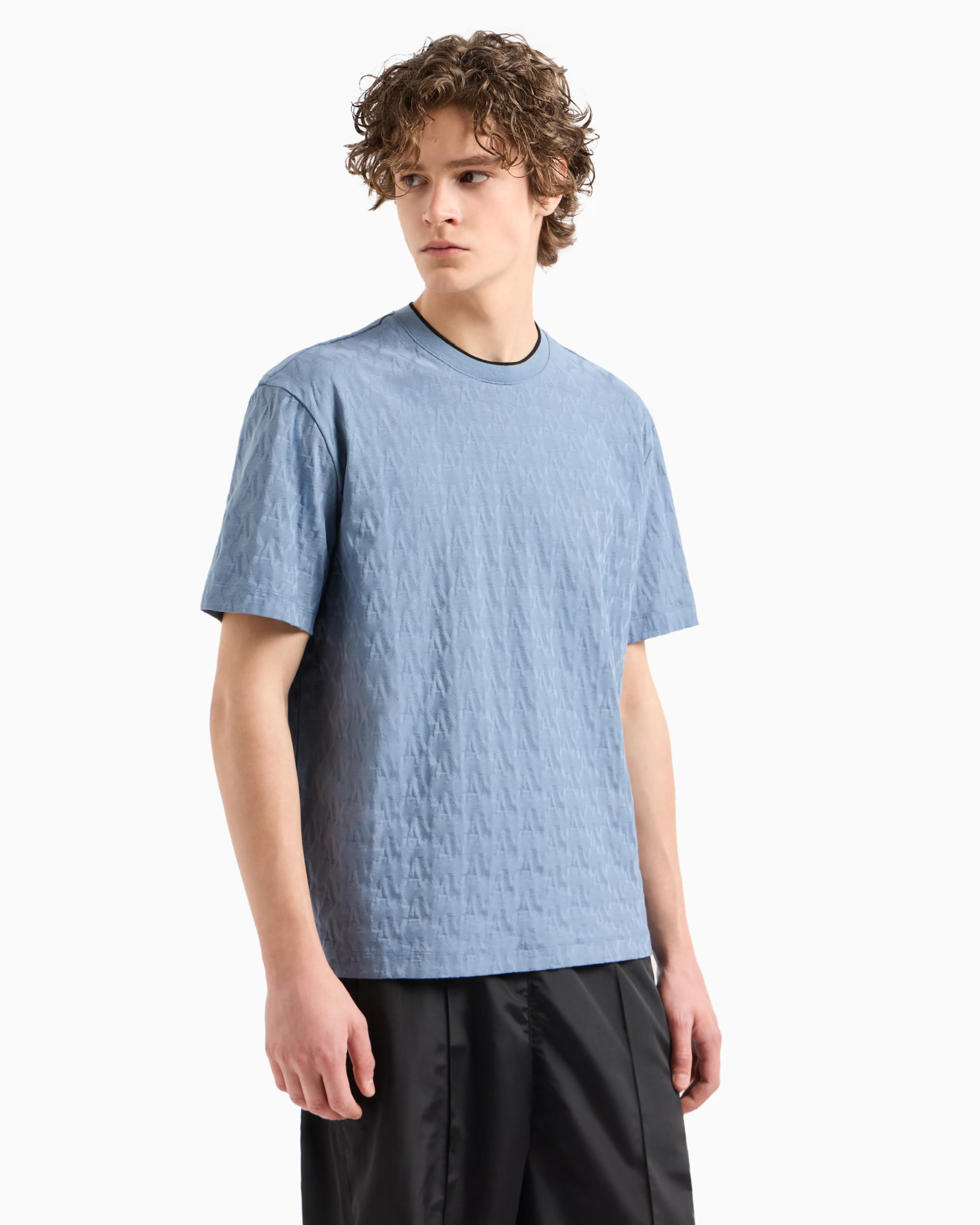 Armani Exchange ASV Regular Fit T-Shirt with Contrast Crew Neck* T-Shirts